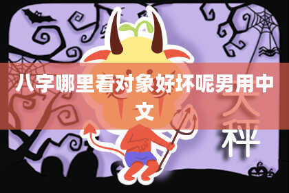 八字哪里看对象好坏呢男用中文