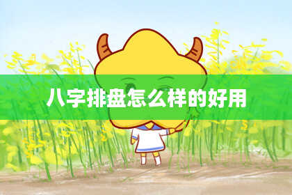 八字排盘怎么样的好用
