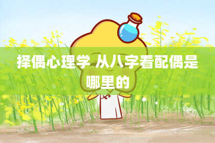 择偶心理学 从八字看配偶是哪里的