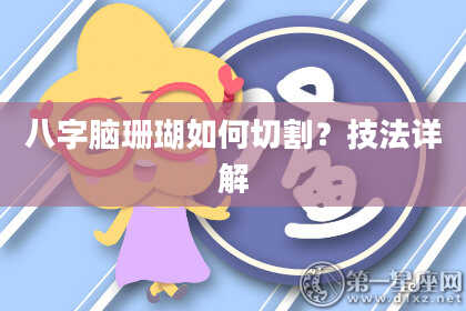 八字脑珊瑚如何切割？技法详解