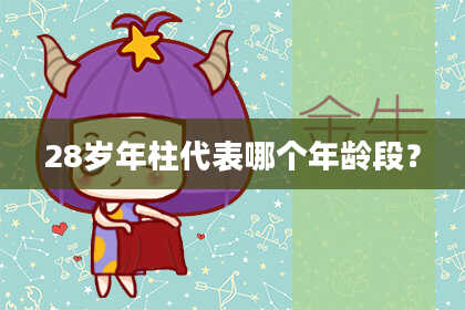 28岁年柱代表哪个年龄段？