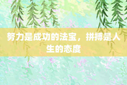 努力是成功的法宝，拼搏是人生的态度