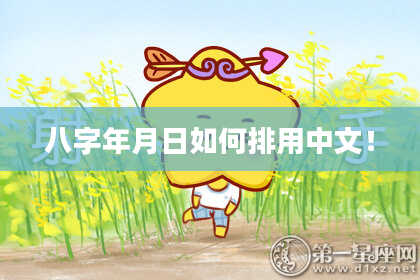 八字年月日如何排用中文！