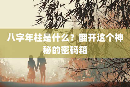 八字年柱是什么？翻开这个神秘的密码箱