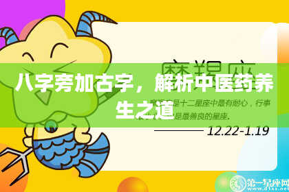 八字旁加古字，解析中医药养生之道