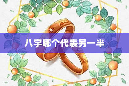 八字哪个代表另一半