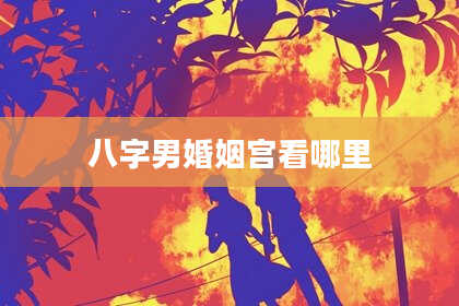 八字男婚姻宫看哪里