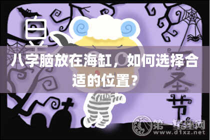 八字脑放在海缸，如何选择合适的位置？