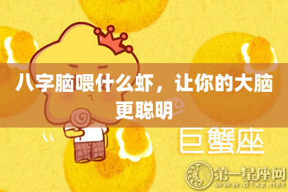 八字脑喂什么虾，让你的大脑更聪明