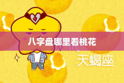 八字盘哪里看桃花