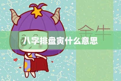 八字排盘寅什么意思