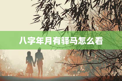 八字年月有驿马怎么看