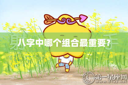 八字中哪个组合最重要？