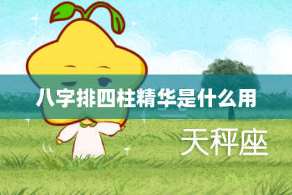 八字排四柱精华是什么用