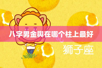 八字男金舆在哪个柱上最好