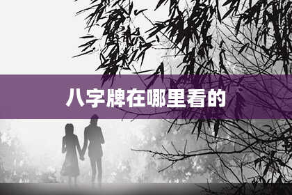 八字牌在哪里看的