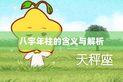 八字年柱的含义与解析