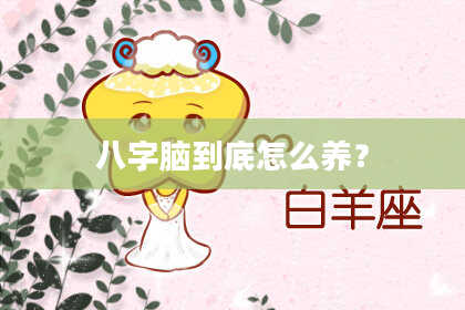八字脑到底怎么养？