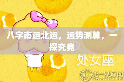 八字南运北运，运势测算，一探究竟