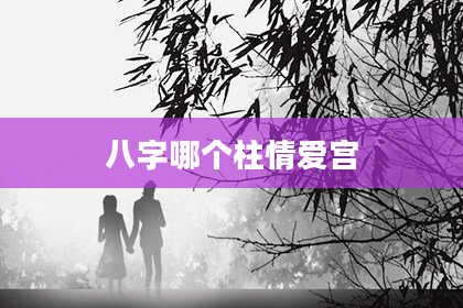 八字哪个柱情爱宫