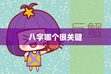 八字哪个很关键