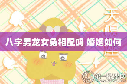 八字男龙女兔相配吗 婚姻如何