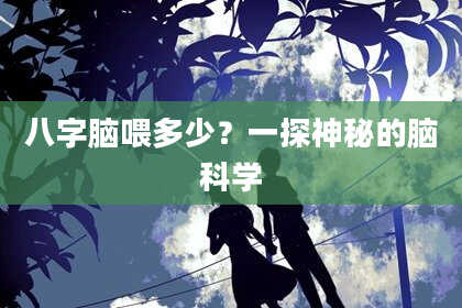 八字脑喂多少？一探神秘的脑科学