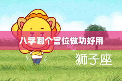 八字哪个宫位做功好用