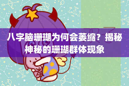 八字脑珊瑚为何会萎缩？揭秘神秘的珊瑚群体现象