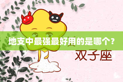地支中最强最好用的是哪个？