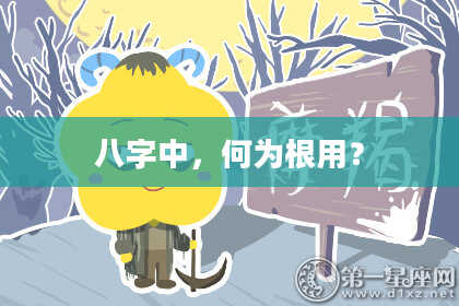 八字中，何为根用？